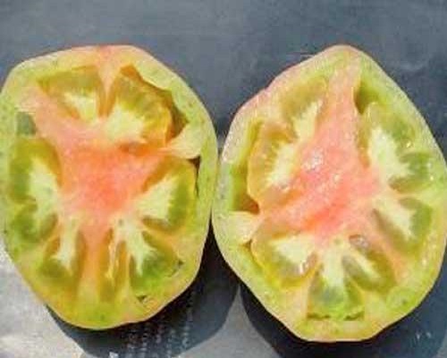 番茄空洞果,進(jìn)口沖施肥 番茄空洞果,進(jìn)口沖施肥