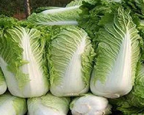 西白12號,水溶肥品牌