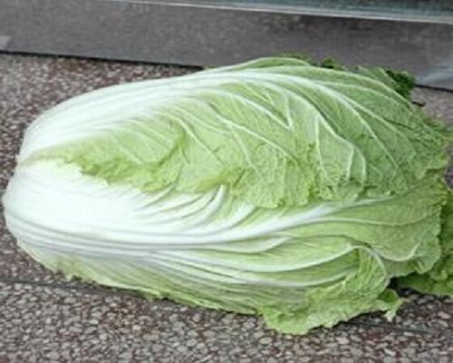 早雜5號(hào),品牌沖施肥