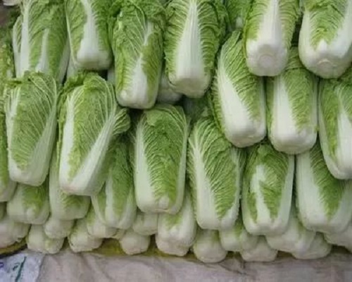 早雜5號(hào),果樹(shù)葉面肥