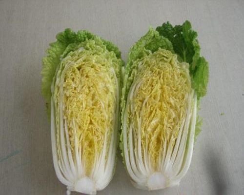 京秋黃心70,?；ū９~面肥